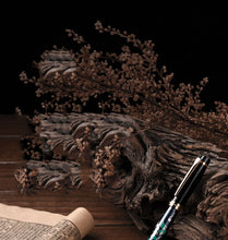 Load image into Gallery viewer, Luxury Classic Fountain Pens