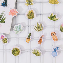 Load image into Gallery viewer, Succulent Plant Stories Stickers