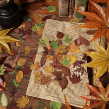 Load image into Gallery viewer, Falling Leaves in a Bottle Fall Stickers