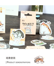 Load image into Gallery viewer, Hello Meow Master Kitty Stickers