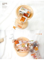 Load image into Gallery viewer, Vintage Style Butterfly  Series Transparent Washi Tapes