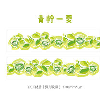 Load image into Gallery viewer, Summer Iced Fruits Washi Tapes (6 designs)