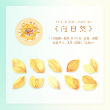 Load image into Gallery viewer, Floral Petal Sticker Rolls ( 8 Designs)