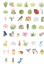 Load image into Gallery viewer, Succulent Plant Stories Stickers