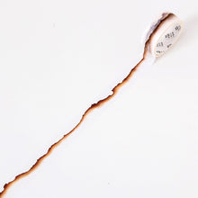 Load image into Gallery viewer, Paper Edge Landscape Series Washi Tapes (8 Designs)