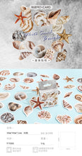 Load image into Gallery viewer, Beach Shells Decorative Stickers