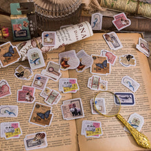 Load image into Gallery viewer, 3256804178556458