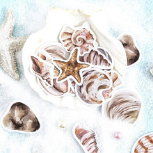 Load image into Gallery viewer, Beach Shells Decorative Stickers