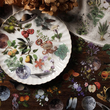 Load image into Gallery viewer, Vintage Style Nature & Animal Stickers (6 Designs)