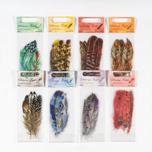Load image into Gallery viewer, Glistening Feather Large Stickers - Limited Edition