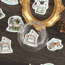 Load image into Gallery viewer, Hello Meow Master Kitty Stickers