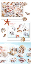 Load image into Gallery viewer, Beach Shells Decorative Stickers