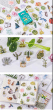 Load image into Gallery viewer, Succulent Plant Stories Stickers