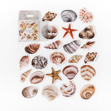 Load image into Gallery viewer, Beach Shells Decorative Stickers