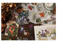 Load image into Gallery viewer, Vintage Style Nature & Animal Stickers (6 Designs)
