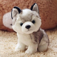 Load image into Gallery viewer, Kawaii Little Plush Husky Toy - Original Kawaii Pen