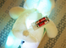 Load image into Gallery viewer, The Glw-Teddy⢠𧸠- Original Kawaii Pen