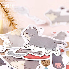 Load image into Gallery viewer, Meow Stickers