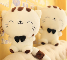 Load image into Gallery viewer, Cute Kawaii Cat Plush Toy - Original Kawaii Pen