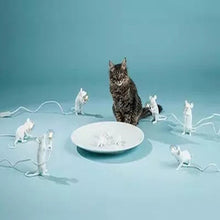 Load image into Gallery viewer, Reading & Decoration Mouse LED Lamps