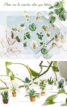 Load image into Gallery viewer, House Plant Paper Stickers - Original Kawaii Pen