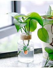 Load image into Gallery viewer, House Plant Paper Stickers - Original Kawaii Pen