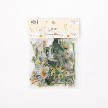 Load image into Gallery viewer, Kawaii Floral Stickers (6-Types) - Original Kawaii Pen