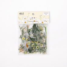 Load image into Gallery viewer, Kawaii Floral Stickers (6-Types) - Original Kawaii Pen