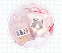 Load image into Gallery viewer, Meow Stickers