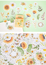Load image into Gallery viewer, Daisy & Sunflower Stickers