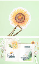 Load image into Gallery viewer, Daisy & Sunflower Stickers