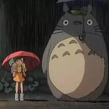Load image into Gallery viewer, My Neighbor Totoro Plush Toy