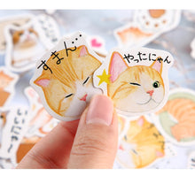 Load image into Gallery viewer, Orange Kitty Stickers