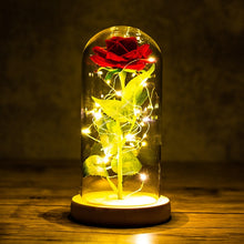 Load image into Gallery viewer, Exotic Rose in Glass Led Lamp (26 Designs)