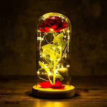 Load image into Gallery viewer, Exotic Rose in Glass Led Lamp (26 Designs)
