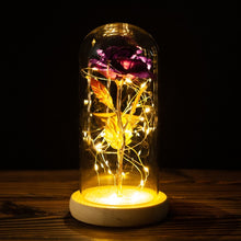 Load image into Gallery viewer, Exotic Rose in Glass Led Lamp (26 Designs)