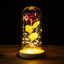 Load image into Gallery viewer, Exotic Rose in Glass Led Lamp (26 Designs)