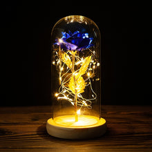 Load image into Gallery viewer, Exotic Rose in Glass Led Lamp (26 Designs)