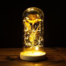 Load image into Gallery viewer, Exotic Rose in Glass Led Lamp (26 Designs)