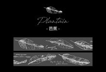 Load image into Gallery viewer, Vintage Transparent Washi Tape