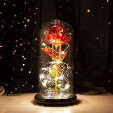 Load image into Gallery viewer, Exotic Rose in Glass Led Lamp (26 Designs)