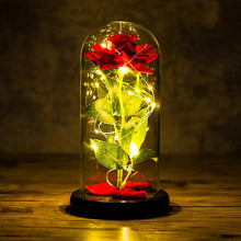 Load image into Gallery viewer, Exotic Rose in Glass Led Lamp (26 Designs)
