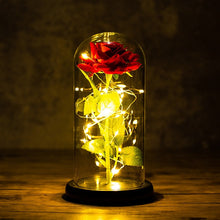 Load image into Gallery viewer, Exotic Rose in Glass Led Lamp (26 Designs)
