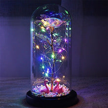 Load image into Gallery viewer, Exotic Rose in Glass Led Lamp (26 Designs)