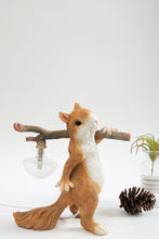 Load image into Gallery viewer, Cute Kawaii Squirrel LED Light
