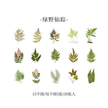 Load image into Gallery viewer, Little Garden Stickers