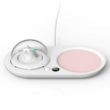 Load image into Gallery viewer, Kawaii Tea Warmer & Oil Diffusers (3 Types)