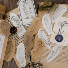 Load image into Gallery viewer, Vintage Style Lilian Garden Decoration Stamp - Original Kawaii Pen