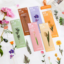Load image into Gallery viewer, Limited Edition - Floral & Plant Natural Stickers (6 Types)