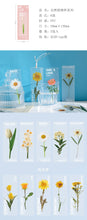 Load image into Gallery viewer, Limited Edition - Floral & Plant Natural Stickers (6 Types)